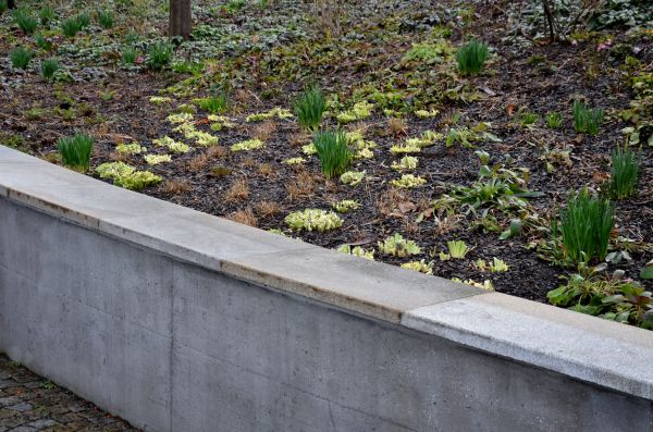 Cost of Concrete Wall Construction in Covington