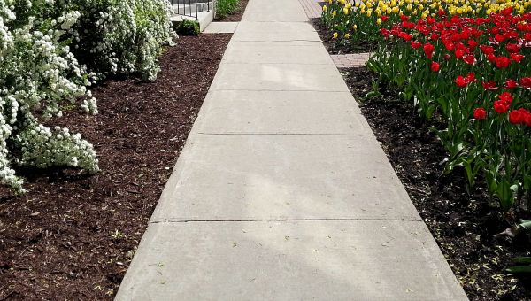 Cost of Cement Sidewalk Installation in Covington